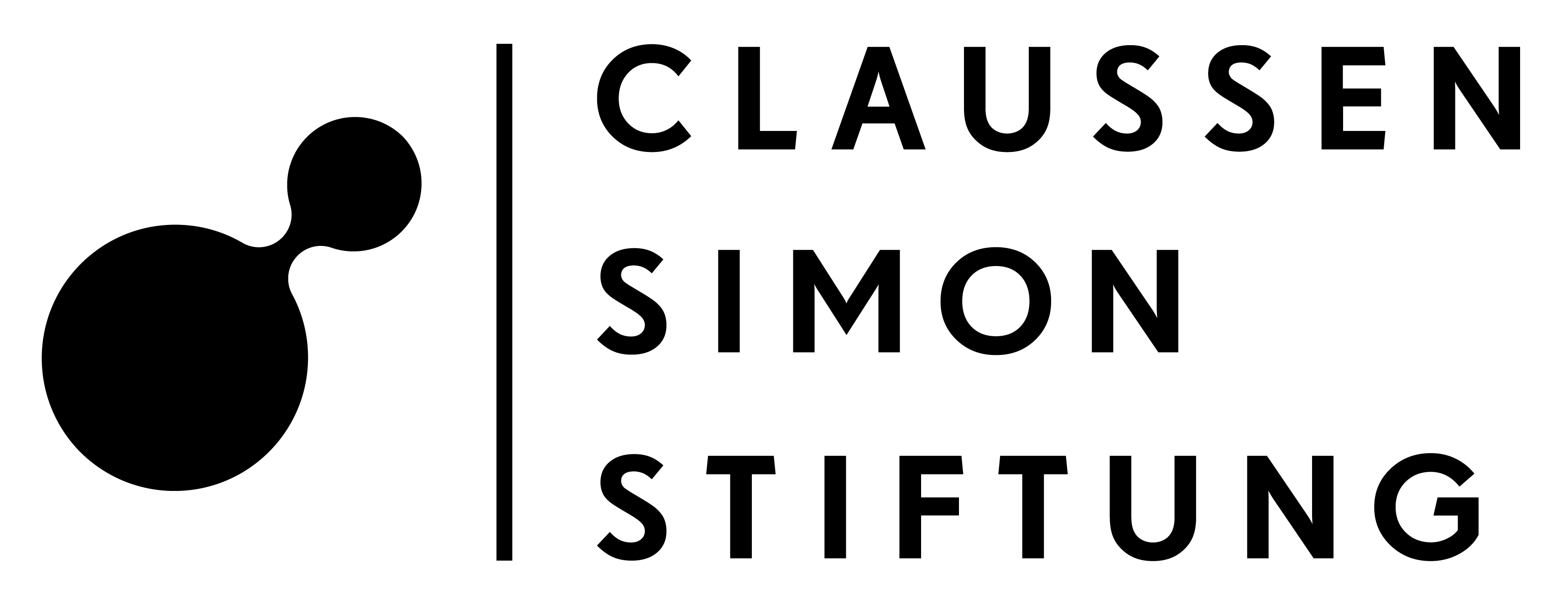 Logo von CSS